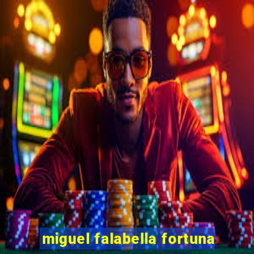 miguel falabella fortuna